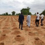 lancement et suivi des activités de restauration de 210 hectares de terres dégradées dans quatre communes de la région de Zinder (Kantché, Dan Barto, S Broum et Yaouri).