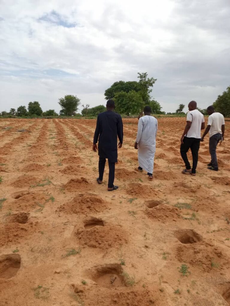 Lire la suite à propos de l’article lancement et suivi des activités de restauration de 210 hectares de terres dégradées dans quatre communes de la région de Zinder (Kantché, Dan Barto, S Broum et Yaouri).