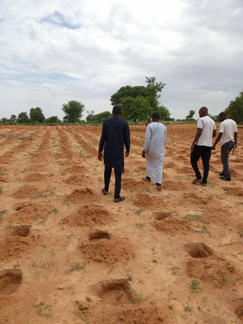 You are currently viewing lancement et suivi des activités de restauration de 210 hectares de terres dégradées dans quatre communes de la région de Zinder (Kantché, Dan Barto, S Broum et Yaouri).